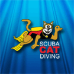 Learn to Dive with Scuba Cat Diving SSI Instructor Training Centre, Patong Beach, Thailand. Training beginners to instructors, daytrips and Liveaboards.