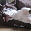 Peter Koopman - @PeterZandvoort - Twitter