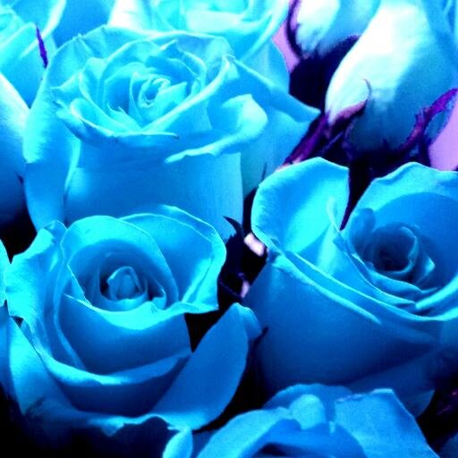 ojneto's profile picture. Internet reveler basking in the glow of electronic devices & testing the power of #MindOverMatter