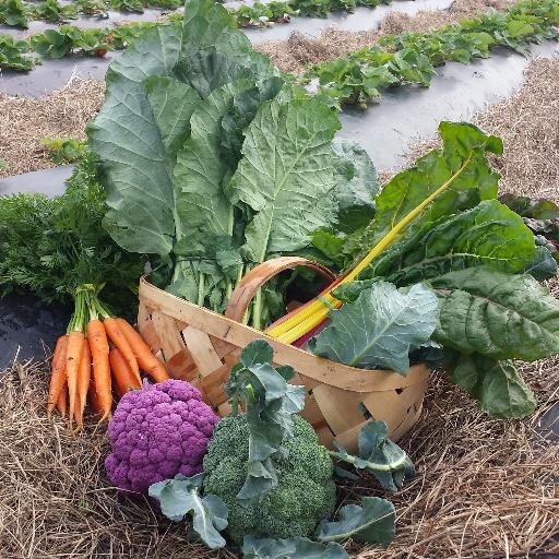 Eat Local. Eat Seasonal. Eat Healthy.