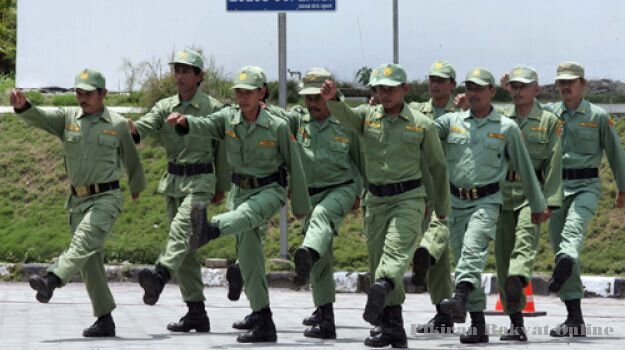 Satuan Polisi Pamong Praja