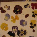 Art West - @ArboretumSciArt - Twitter