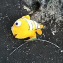 Sam McClelland - @Smcclell7291Sam - Twitter