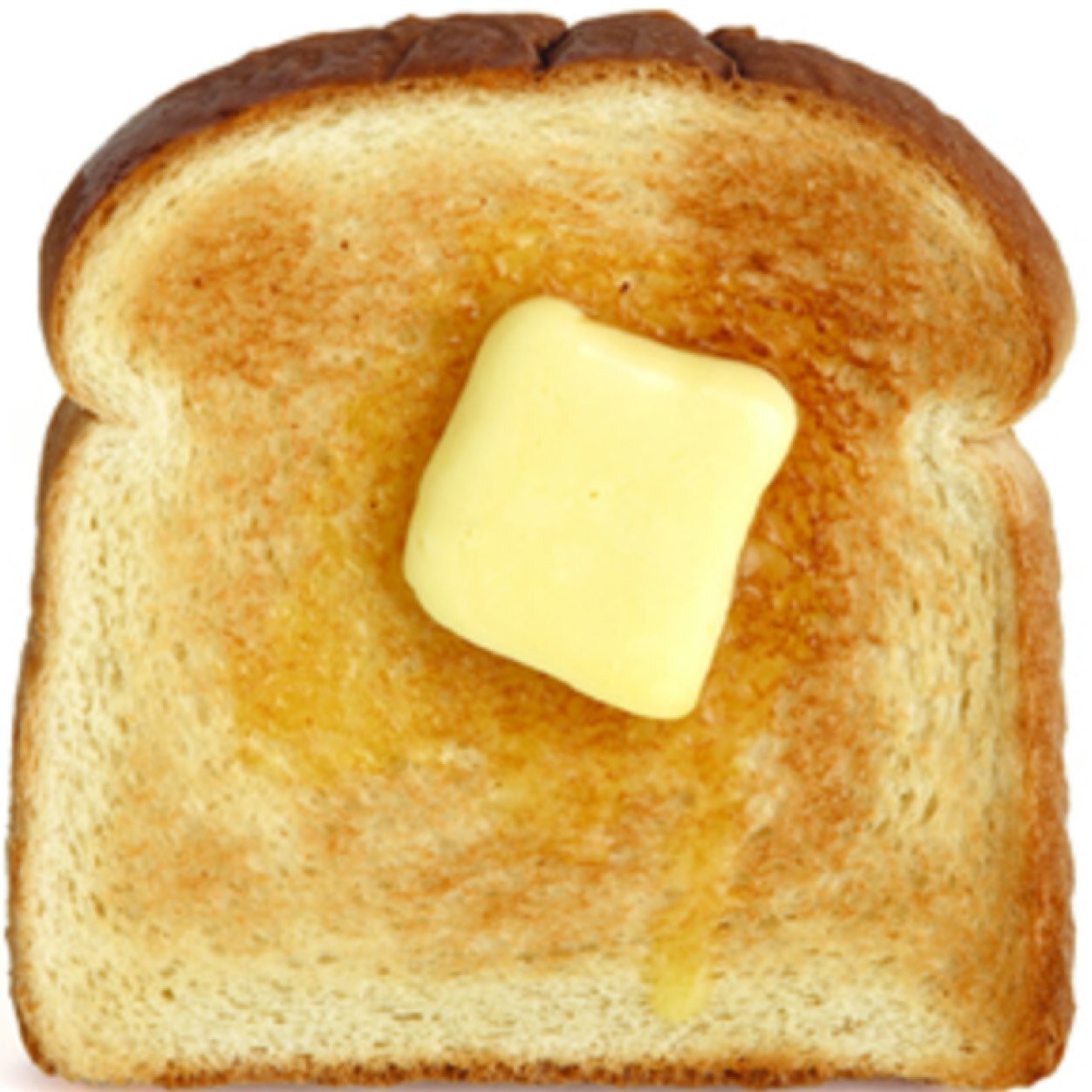 Bitchasstoast's profile picture. 