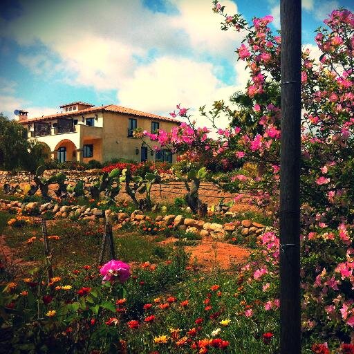 Vena Cava Vineyard & Winery / Corazon de Tierra Restaurant / La Villa del Valle Luxury Country Inn / Troika Gastropub / Baja Botanica cuidado personal