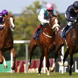 Get free horse racing tips straight to your inbox, with the UK's best FREE Tips service