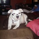 Nick Runyon - @brwnsmakemedrnk - Twitter