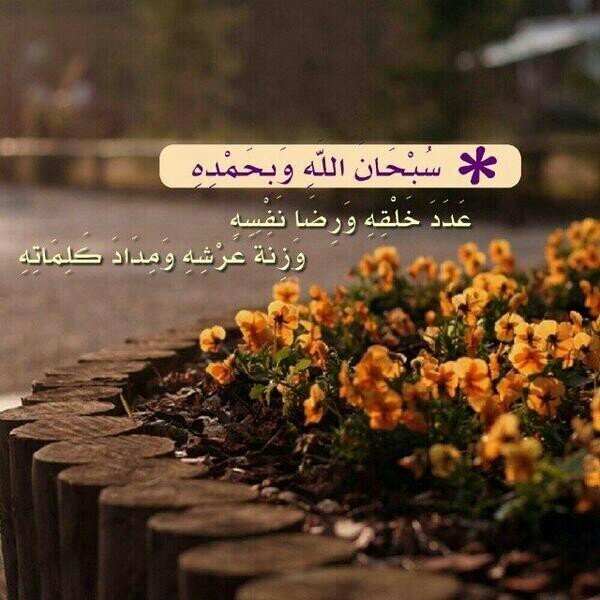 MR_14082's profile picture. ♡سبحان الله العظيم ، سبحان الله وبحمده♡