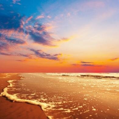 Zosm4Green's profile picture. Social media specialist #10 years  - want ... Amateur food buff # Freelance pop culture junkie . Hipster-friendly zombie nerd  ...