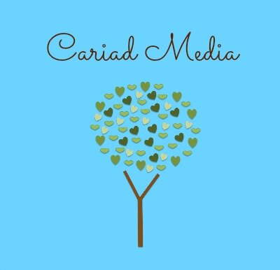 Website Design, Social media management & branding for businesses. Freelance copywriter.