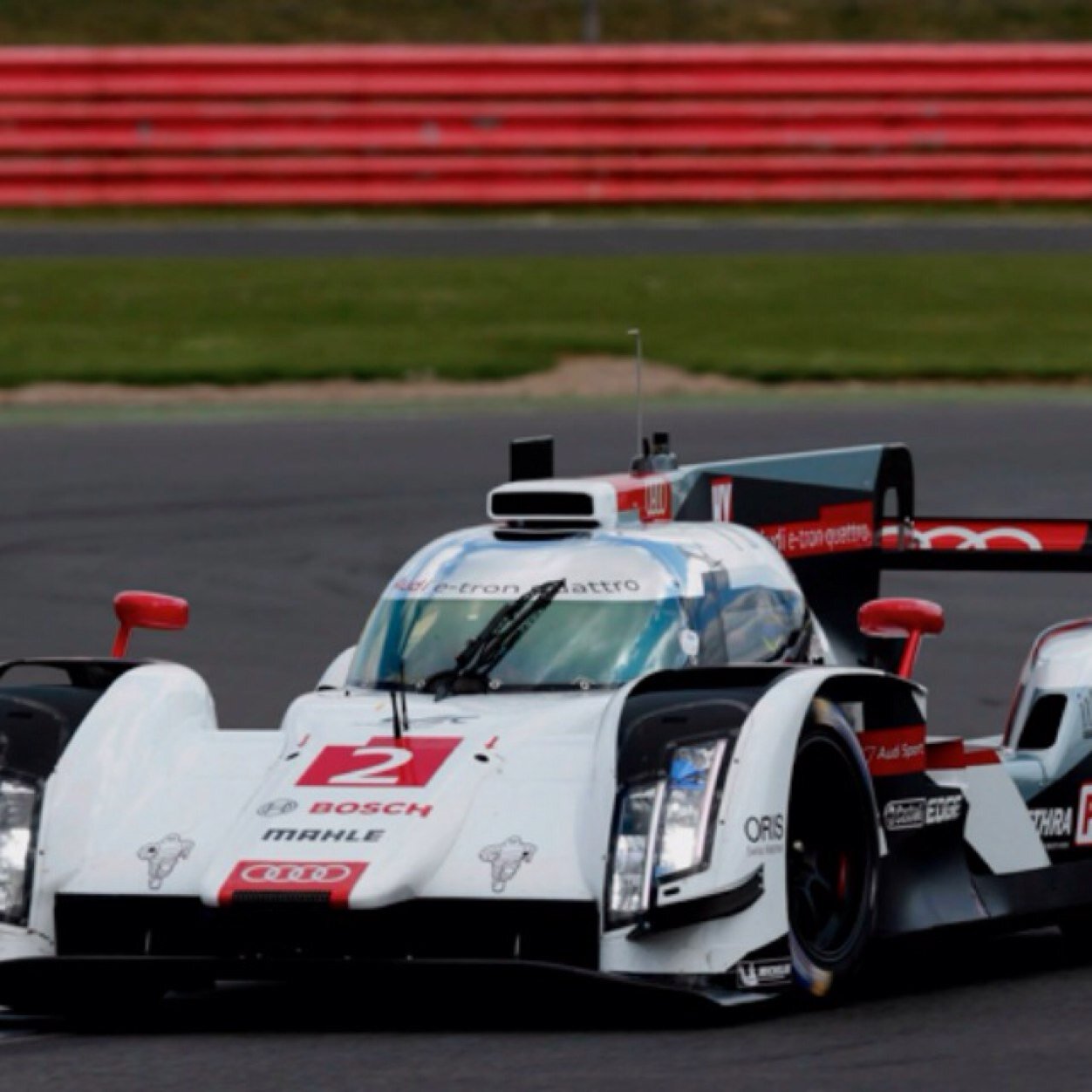 HamishAnne's profile picture. lol