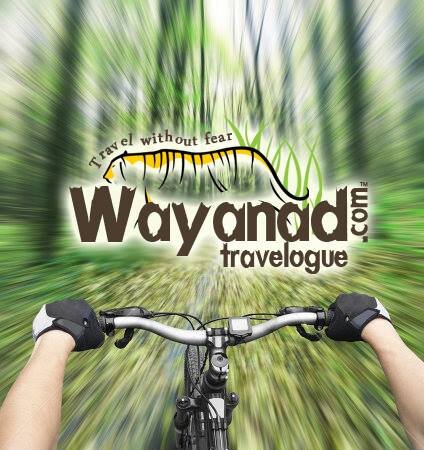 Wayanad Travelogue | Wayanad Travel | Tours Wayanad | Wayanad | Wayanad Hotels | Wayanad Resorts | Wayanad Tourist Packages