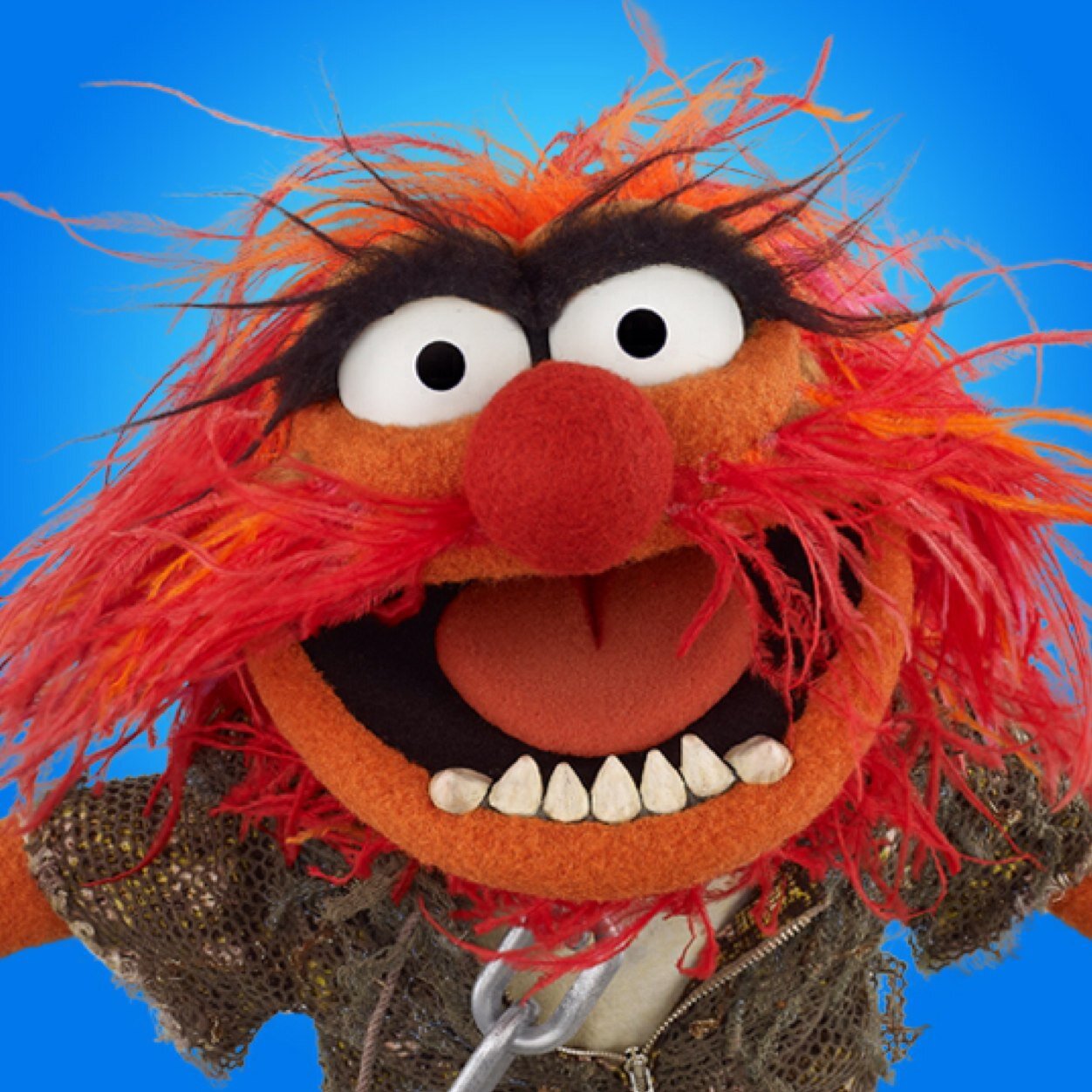 LynnLynnsim's profile picture. Very into FOREX market! Love to ski, learn ASL & try new things! Fun, outgoing. Love women!