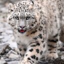 Ann Marie Archer - @amarcher04 - Twitter