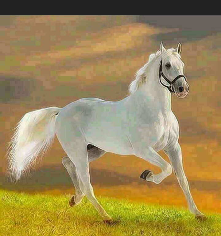 يًــآليًل َقِــــل للصِـــبُحِ آنٍـــــيً تِمٍنٍيًــت بسِ آبُتِسِآمٍهُ تِنٍتِشُـــــل َقِـلـبُ مٍنٍصِــآبُ