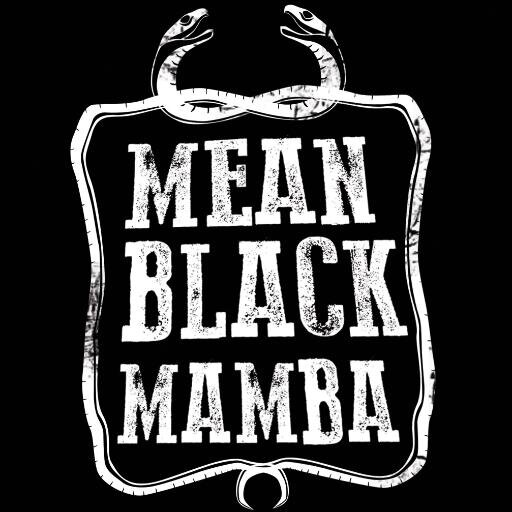 MeanBlackMamba's profile picture. Guitarist/singer Guy Collins and drummer extraordinaire James van Minnen are afro swamp gospel prophets in the temple of cosmic delta juju