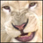 wogamiqyhaw's profile image