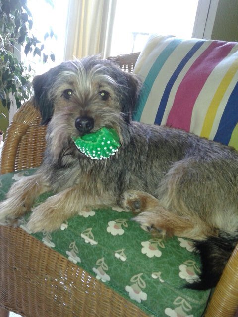 mariakyty's profile picture. ¡¡ Maria tejado calcerrada !!