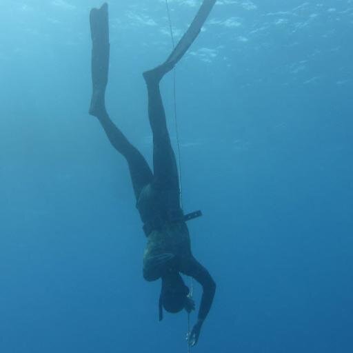 Twitter officiel de Patrick Pijourlet : Apnée immersion libre, Cyclisme, Chasse sous marine, Supporter de Jules et Louis Pijourlet