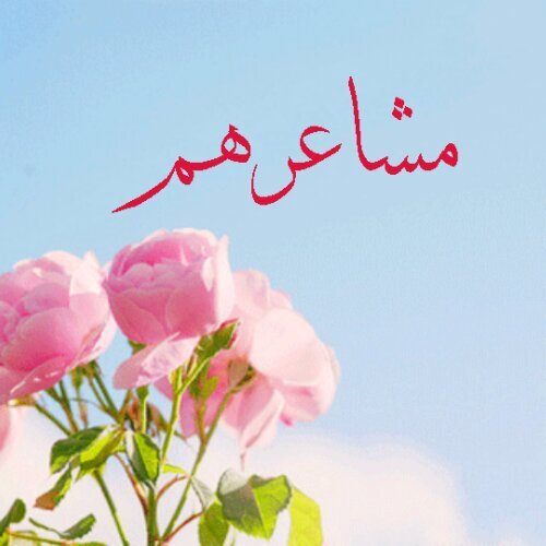 ‏‏‏‏‏‏‏‏‏‏‏‏‏ ‏‏حيث تلتقي الكلمه .. ننقل لكم إبداعات الشعر والخواطر من مصدرها وبكامل حقوقها نقطف من بساتينهم الأطيب .. لنتذوقه معا