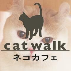 埼玉県大宮にある猫カフェです。 西口より徒歩2分!ぜひご来店ください*\(^o^)/* フォローもお気軽にどうぞ☆詳しくはHPへ! #catwalk大宮
