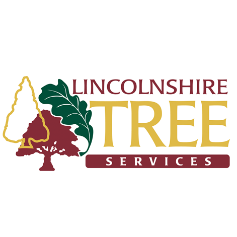 Tree surgeon employing 12 arborists. Domestic & commercial tree work & reports in Lincolnshire Wolds & UK. Recycling logs & woodchip.