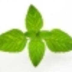 The Food Vitamin tree all your vitamins online healthy eating for a healthy you.
