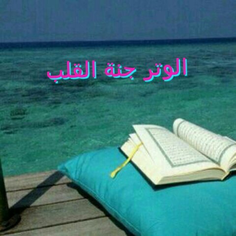 (لا اله الا الله وحده لاشريك له،له الملك وله الحمد وهو علئ كل شئ قدير)@):-