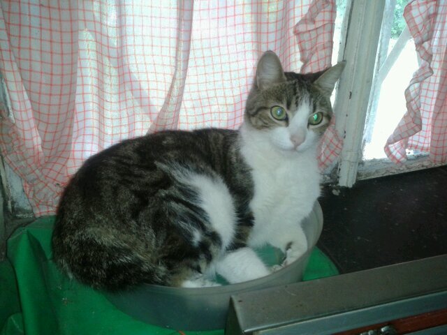 merywayar's profile picture. Lo esencial es invisible a los ojos