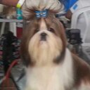 Edwin Gallardo - @EdwinGallardo15 - Twitter