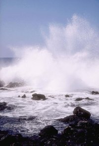 260170Valeriy's profile picture. У меня нет мании величия. Великие люди ей не страдают.