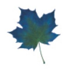 naturalsnews's profile picture. UK manufacturers of natural health products: Menopause relief, pain management, skin care, respiratory aids, supplements, balms