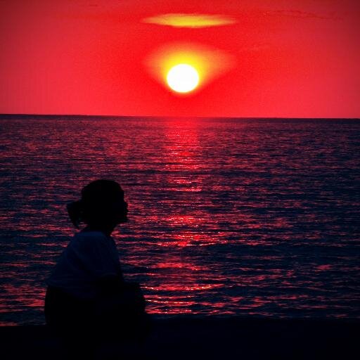 missatascha's profile picture. i follow back :-)