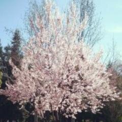 deengg's profile picture. 