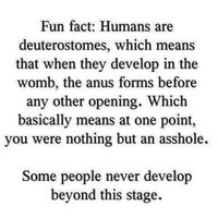 Grumpy Old Git (@ed_burgess) 's Twitter Profile