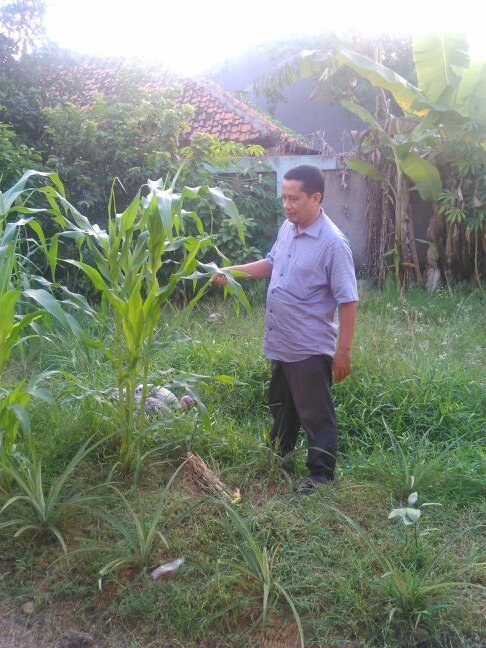 pengusaha jagung bakar