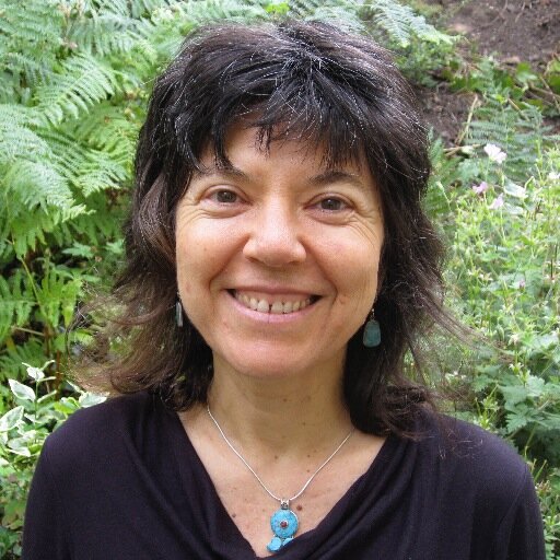 Biodynamic Craniosacral Therapy, Continuum, Prenatal and Birth Therapy, Mentoring & Supervision
