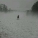 Kyle Dickerson - @dickersonuku - Twitter