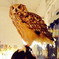 ぱ (@pmnqm) 's Twitter Profile