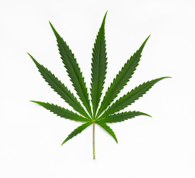 Killian Gilbride (KG) u duknoo hit me up. I'm on a stictly dank only policy!