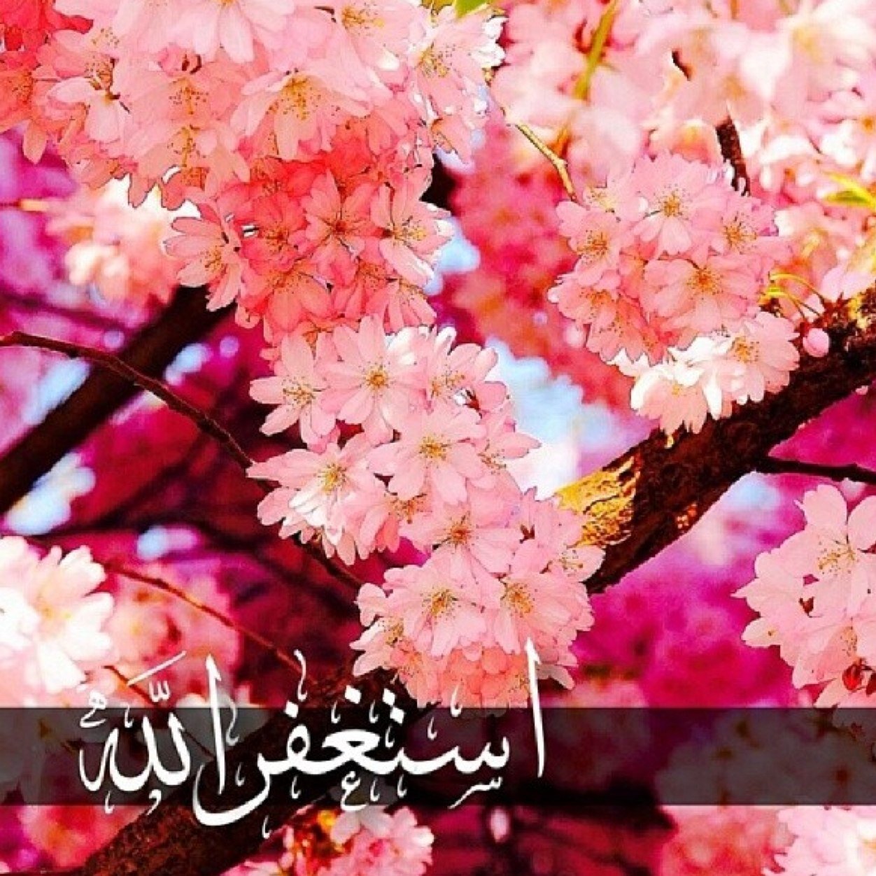 حساب ديني .. عني و عن والدي فلنتشارك الاجر معا .. سبحان الله و بحمده سبحان الله العظيم