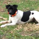 Dale stroud - @mrgoatman1990 - Twitter