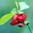 tender_kier's profile image