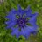 Jane__Ferguson's profile image