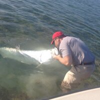 Danny Knapp (@thedknapp) 's Twitter Profile