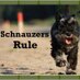 Schnauzers Rule (@luvdaschnauzers) Twitter profile photo