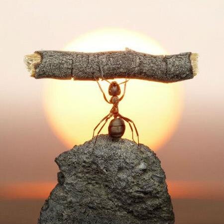 now I am travel in this earth