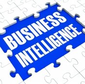 businessintelligence, business intelligence, business,intelligence