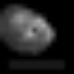 wayward_canon's profile picture. paradigms of cinema