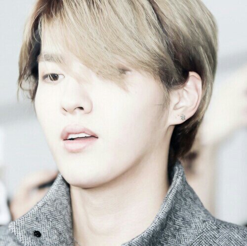 exo-m's wu yifan / kris ; 90